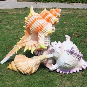 Serie Costiera: Sculture e Statue in Vetroresina per Parchi a Tema e Giardini, Animali Marini Cartoon, Cavalluccio Marino, Polpo, Stella Marina, Conchiglia - Product Image 4