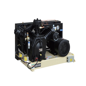 High Pressure 40Bar Piston Air Compressor 1.0m3/min Stationary Air Cooled 380VAC for PET Bottle Blowing - Product Image 4