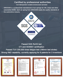 Vérin à gaz <span class=keywords><strong>de</strong></span> 22 mm <span class=keywords><strong>de</strong></span> diamètre avec joint en plastique, ressort à gaz en acier, capacité <span class=keywords><strong>de</strong></span> charge <span class=keywords><strong>de</strong></span> 44 lb, pièces détachées automobiles directement du fournisseur chinois - Product Image 4