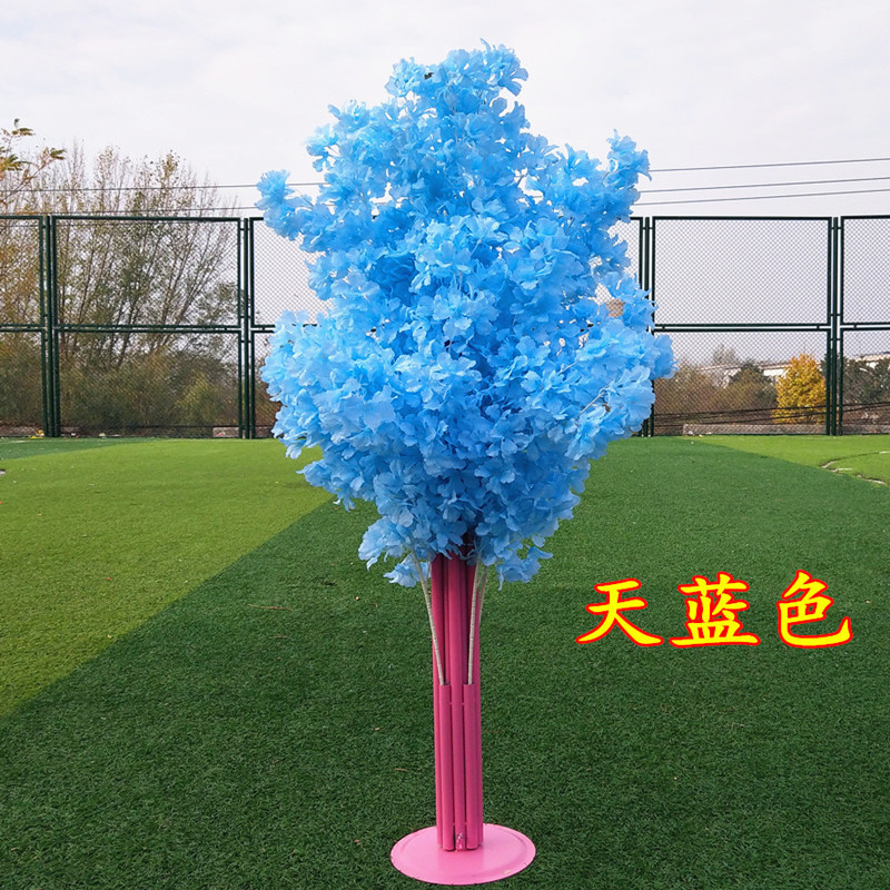 Bleu ciel (cadre rose)