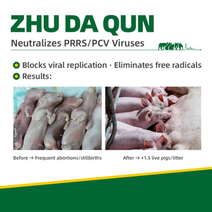 Zhudaqun Vitamine in Tierfutter qualität Aminosäuren Enzyme für die Produktion Sauen derzeit direkte indirekte Probleme - Product Image 4