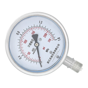 Manomètre en acier inoxydable Y100BF 0,4-2,5 MPa 304/316L pour huile, eau, air - Product Image 2