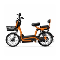 Vélo Électrique Tout-Terrain Sportif 20 Pouces à Cadre Bas 48V 20Ah Lithium Sans Balais Double Siège Panier Avant Commuting Adulte SeekFar