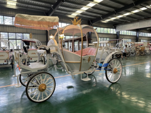 Charrette de Mariage Électrique Personnalisable Style Citrouille Princesse Cendrillon pour 4-6 Personnes – Transport Spécial Mariage - Product Image 3