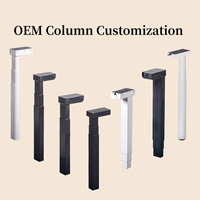 Colonnes de levage à hauteur réglable, colonnes de levage à double moteur avec système de transmission silencieux pour bureaux à domicile et au bureau