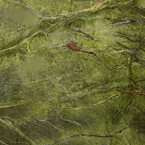 Dalles de marbre poli vert forêt tropicale TSF, pierre naturelle pour revêtement mural, comptoirs, design intérieur et extérieur de luxe - Product Image 1