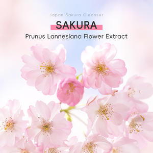 El limpiador facial de espuma Sakura de alta calidad hidrata la piel. La fórmula de crema suave elimina eficazmente el maquillaje - Product Image 2