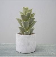 Plante de cactus artificielle minuscule A-3053 Ins en pot pour la décoration de porte