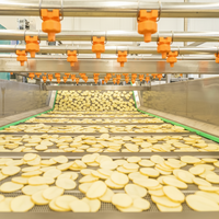 Volledig automatische industriële machine voor het maken van fruit, groente en gebakken aardappelchips, lijn voor diepvriesfrieten, aanpasbare friteuse