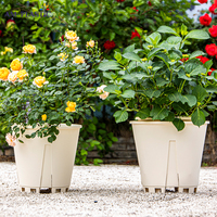 Pot de fleur en plastique double couleur durable fournitures de jardin domestique de tailles multiples pour la transplantation de plantes succulentes de pépinière jardinière de qualité supérieure