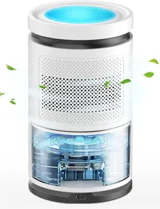 Hygea Top 2023 có thể điều chỉnh công nghiệp hút ẩm thông minh Wifi Kép 2.5L lớn bán dẫn Peltier Máy hút ẩm tầng hầm