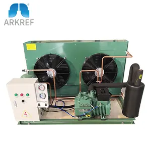 Arkref Van Hoge Kwaliteit Merk Luchtgekoelde Condensatie Unit Koude Kamer Koelcompressor Condensor Unit Voor Vriezer Chiller