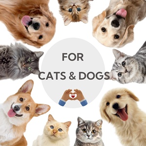 Suplemento Nutricional en Gel de Alta Calidad para Mascotas, Promueve el Crecimiento y Aporta Energía para Perros y Gatos, Muestra Gratis Disponible - Product Image 3
