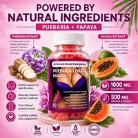 Gummies aux fruits sans sucre pour la beauté, à base de plantes, pour femmes, OEM, export transfrontalier, 90 gummies