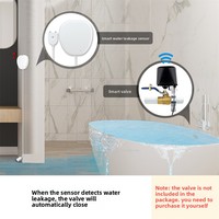 Détecteur de fuite d'eau intelligent WiFi Tuya Graffiti en PC avec alarme sonore et programmation via application pour la sécurité domestique