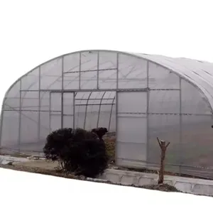 High Strength Commercial Agricultural And Farm Poly Tunnel Green House plastic film Cultivation Shed Tomato Greenhouse For Sale