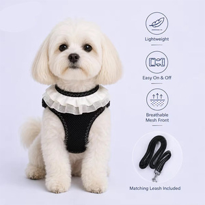 Cute Lace Frill <b>Pet</b> Dog <b>Harness</b> Leash Set Adjustable Reflective Mesh Puppy Vest <b>Harness</b> For Daily Outdoor Walk - Product Image 4