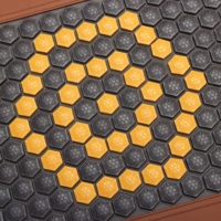 Matelas Luxuryade T85 Bio à infrarouge lointain, tourmaline, ions négatifs, PEMF, contrôle de température 30-70°C, minuterie 1-12 heures, sac de transport