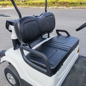 Venta al por Mayor de Jinghang, Carritos de Golf Eléctricos Pequeños y Económicos, <span class=keywords><strong>Mini</strong></span> Carritos de Golf de 2 Plazas, Impulsados por Gasolina - Product Image 4
