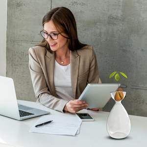 वेस ग्लास एवोकैडो प्लांट स्टार्टर ग्लास वेज़ एवोकैडो पेड़ उगाने वाले पौधे ग्लास वेस - Product Image 4