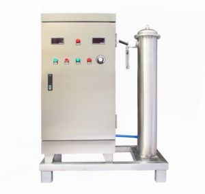 Generador de ozono de alta concentración de 100 g/H para tratamiento de aguas residuales - Product Image 1