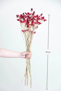 Moon Yu ชุดรวมแฮนด์เมดสำหรับตกแต่งบ้าน DIY - Product Image 2