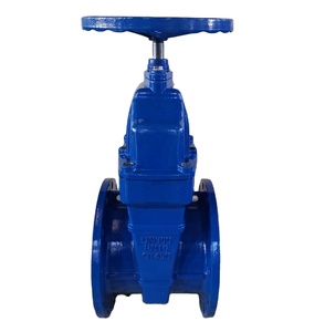 Válvula de Compuerta de Hierro Dúctil con Brida de Sellado Suave Bs5163 - Product Image 4