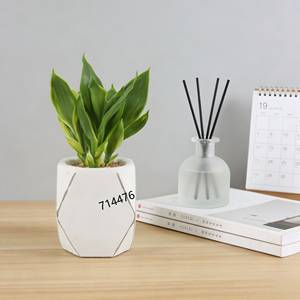 ต้นไม้ใบหลากสีประดิษฐ์ในกระถางทรงเรขาคณิตสีขาว ไม่ต้องดูแลรักษา ต้นไผ่กวนอิมสำหรับตกแต่งสไตล์โมเดิร์นมินิมอล - Product Image 2