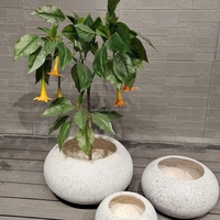 Set Pot Bunga Fiber Clay Minimalis Ringan Tahan Lama untuk Dekorasi Tanaman Hijau di Rumah dan Taman Luar Ruangan