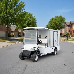Carrito de Golf Eléctrico con Cajas de Carga, Portacelular Multifuncional, Certificado EEC, 30 km/h, Autonomía de 70-90 km - Product Image 6