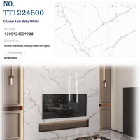 Dalle de Pierre Réelle 1200x2400x9mm, Surface Brillante Pierre Frittée Modèle Complet pour Décoration Intérieure Maison