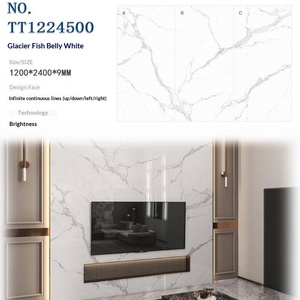 <span class=keywords><strong>Dalle</strong></span> de Pierre Réelle 1200x2400x9mm, Surface Brillante Pierre Frittée Modèle Complet pour Décoration Intérieure Maison - Product Image 5