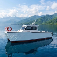 Yacht catamaran en aluminium de 10 m, construit sur mesure, 12 places, bateau à moteur à deux moteurs pour la pêche en mer et les croisières côtières
