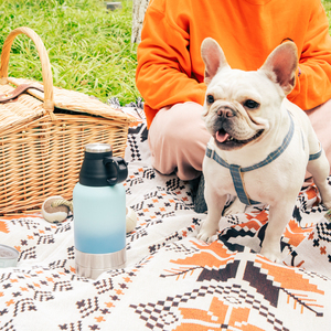 Stok 3 dalam 1 perjalanan makanan hewan peliharaan cairan anti bocor terisolasi anjing botol air baja tahan karat mangkuk pengumpan untuk mobil berkemah luar ruangan - Product Image 6