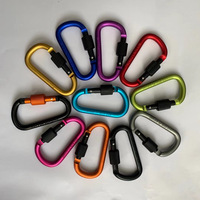 Vente chaude 2021 : Mousquetons en aluminium 67x36mm, forme plate en D, design moderne de haute qualité, couleurs personnalisées pour bouteilles, sacs et chargeurs