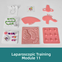Module de simulation de chirurgie laparoscopique - Kit d'entraînement aux compétences chirurgicales en silicone pour la formation médicale