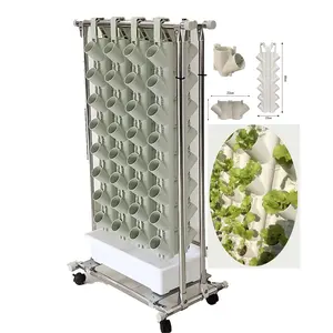 Low Cost and Smart Home Indoor Plant Hydroponic NFT Growing System for Strawberry/Vegetables