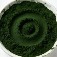 Poudre de spiruline facile à mélanger pour une nutrition quotidienne