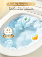 Nettoyant WC à bulles parfumées SukGarden (Haleine de gingembre de Monaco) - 500g