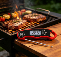 BBQ Tools Digital Meat Thermometer Household Thermometer IP67 Waterproof BBQ Thermometer with Bright Backlight & Calibration