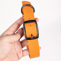 2026 Most Popular Soft Adjustable Pvc Dog Training Collar, Personalized Metal Pet Collar & Leash Set