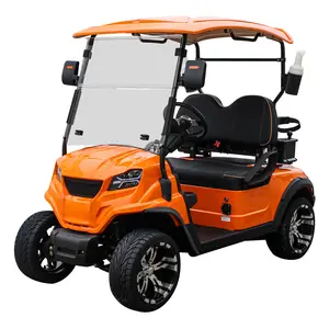 4-wiel Elektrische Golfkar 2-zits Minigolf Auto Weg Legaal Nut Elektrische Golfkar