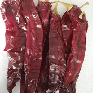 パプリカオレオレジントウガラシのためのASTA120-200パプリカ全体 - Product Image 2