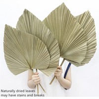 Feuille naturelle la plus populaire feuilles de palmier séchées petite paume séchée pour la décoration de mariage