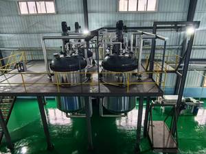 Poudre de protéines d'hydrolysat de soja biologique de haute qualité, enzyme, additifs alimentaires premium, hydrolysat de soja - Product Image 3