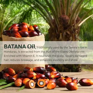 Phi Chống Rụng Tóc Sản Phẩm Dầu Gội Điều Batana Dầu Gội Tóc Butter Batana Dầu Chăm Sóc Tóc Set Cho Phụ Nữ - Product Image 4
