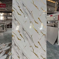 Panel de Pared de PVC con Diseño de Mármol, 100% Impermeable, con Protección UV/PET, para Proyectos de Hoteles y Oficinas, Decoración de Interiores, Revestimiento de Ducha, 1200 mm