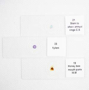 Gelsonlab HSSL-003 giáo dục sinh học kính hiển vi Slide thiết lập 25 loại Slide chuẩn bị cho trường y tế sử dụng - Product Image 6