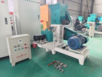 Machine d'extrusion multi-céréales automatique pour maïs, riz, pois, pois chiches – Machine à souffler la farine haute efficacité pour la production de snacks