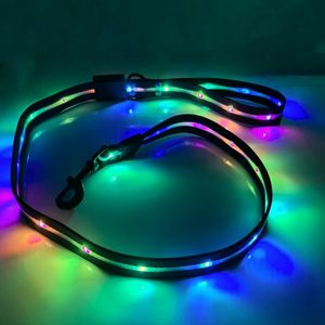Usb C Oplaadbare Led Verlichte Hondenriem Reflecterende Nylon Pet Lood Met 12 Mode Kleuren Veranderlijke Eenvoudige Stijl - Product Image 6